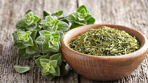 اليوم العالمي للزعتر: يعالج  امراض السرطان، الجهاز التنفسي والهضمي ويقوي الذاكرة والذكورة !