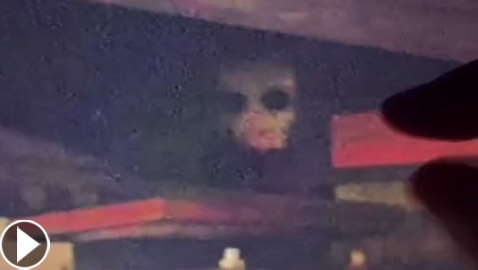 فيديو مرعب لمخلوق مخيف يختلس النظر من تحت جسر! ما هو؟