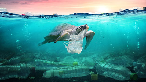 إليكم 5 حلول مبتكرة غير تقليدية للتخلص من أزمة النفايات البلاستيكية