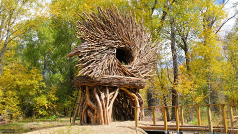 أغرب منازل حول العالم مستوحاة من الطبيعة