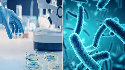 قادرة على الحديث.. إليكم معلومات مذهلة عن البكتيريا لم تسمعوا بها من قبل