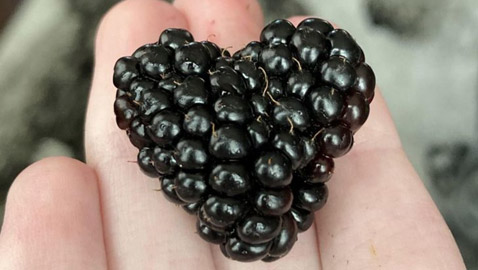 عندما تقرر الطبيعة أن تضحك لك ستكون هذه النتيجة: لقطات مليئة بالبهجة