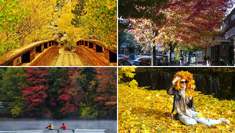 بالصور: مناظر خريفية خلابة في مختلف المدن حول العالم