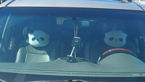 صور من حول العالم عليك التدقيق بها مرتين لتصدق ما ستشاهده