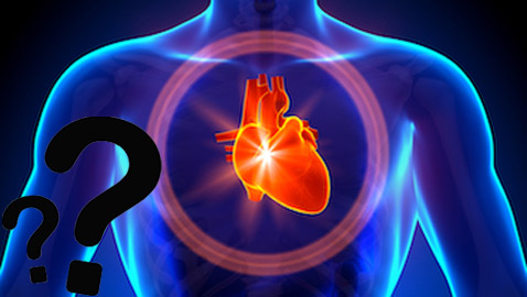 هل تعلمون أن هناك 5 أعضاء في جسمكم 