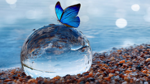 حطم قواعد الكيمياء ولولاه لما استمرت الحياة.. الماء أغرب المواد على الأرض