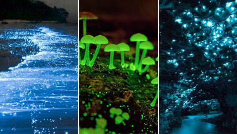 بالصور: أفضل الأماكن في العالم لمشاهدة التلألؤ البيولوجي الساحر