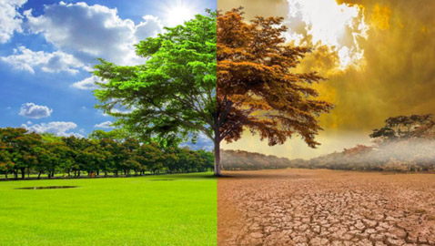 التغيّر المناخي يهدد 48 منطقة بالعالم.. هل تتكيّف الحيوانات مع المناخ الجديد؟