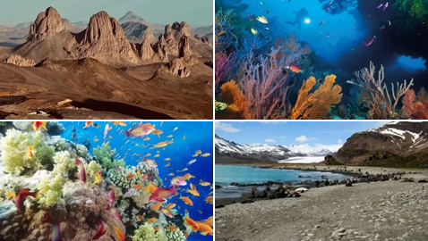 بالصور: تعرفوا إلى 8 من أكبر المحميات الطبيعية الجميلة في العالم