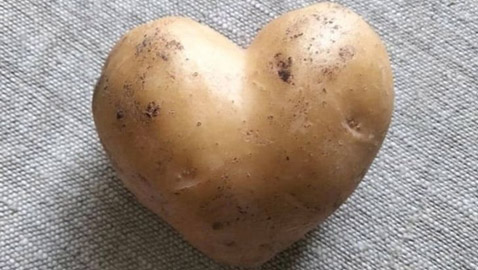 اليكم 16 لقطة مدهشة من الطبيعة ليس لها تفسير