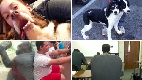 صور غريبة حيّرت الجميع! هل ستدرك انت حقيقتها ام تحتار كغيرك؟