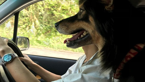 خدع بصرية من الطبيعة.. لا تحكم على الصورة من النظرة الأولى