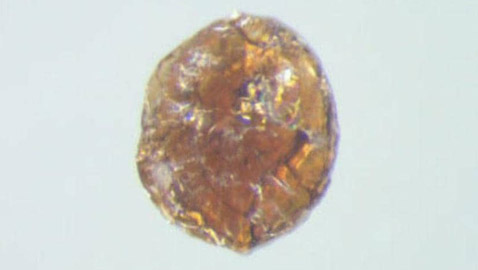 وداعا لمشكلة تكسر الشاشات.. علماء يبتكرون زجاجا فائق الصلابة