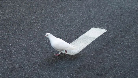 مصور يبرز في الصور كيف ابتسمت له الطبيعة ومنحته اللحظة المناسبة