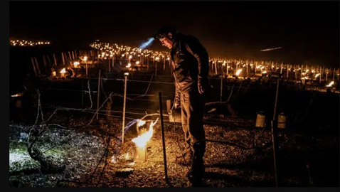 فرنسا تعاني من 