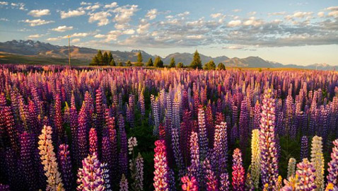 تعرف على أجمل مواقع سياحية في العالم