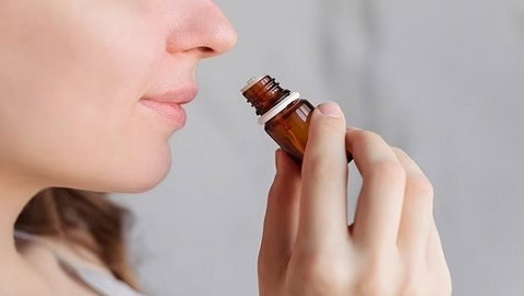 ���� ��� ����� ������� ������� ���� ���� ��� ����� ��������