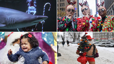 إليكم صور طريفة عشية الاحتفال بعام 2022 الجديد