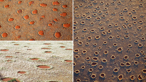 دوائر الجنيات في صحراء ناميبيا.. لغز طبيعي مدهش يستحق الاكتشاف!