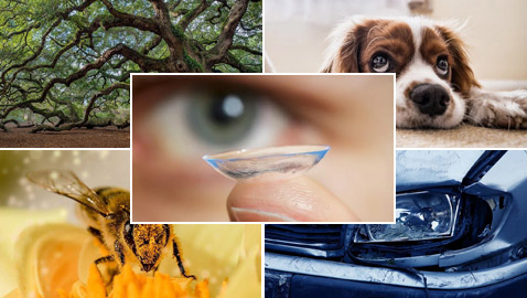 5 أدلة صغيرة وغريبة ساهمت في كشف ملابسات جرائم قتل معقدة!