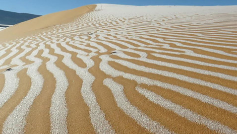 ظاهرة غريبة.. أكبر صحراء حارة في العالم مغطاة بالثلوج! صور