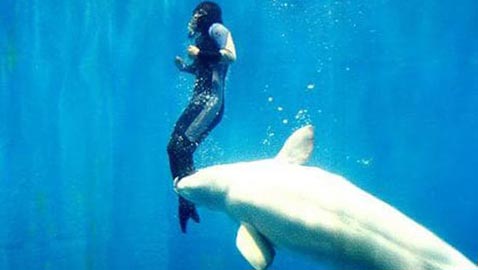 قصص حقيقية مؤثرة: حيوانات أنقذت مالكيها من موت محقق.. صور