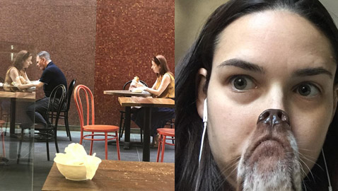 صور رائعة.. عندما يلعب الحظ دور البطولة