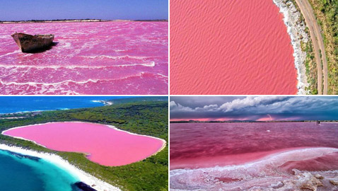 بالصور: أبرز وأجمل البحيرات الوردية حول العالم.. ما سبب تغير لونها؟
