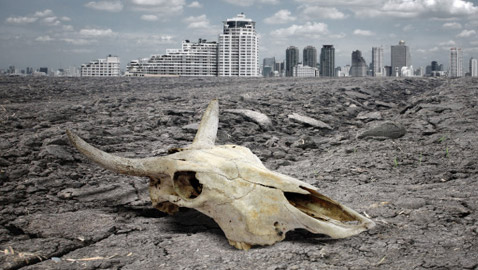 الصندوق العالمي للطبيعة.. تحذيرات من موجة انقراض كارثية للحيوانات!