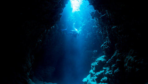 أصوات حيوانية غامضة في أعماق البحار تثير حيرة العلماء!