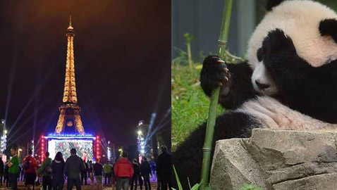 هذه المعالم السياحية لا يسمح فيها بالتقاط الصور..