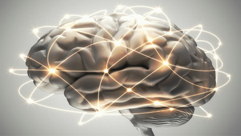 سر بـ30 ثانية.. خطأ قد يفك لغز نشاط للدماغ بعد الموت!