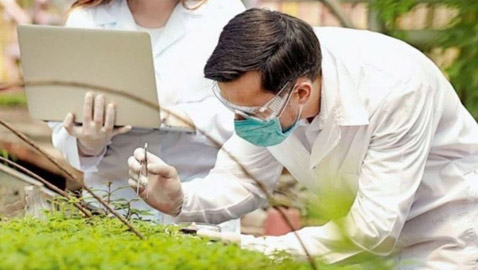 كندا.. أول دولة تسمح بتداول لقاح نباتي مضاد لكورونا