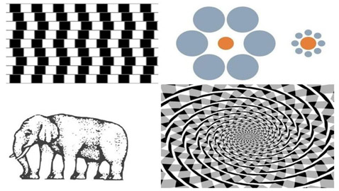 اختبر عقلك وتركيزك.. حاول الإجابة على هذه الخدع البصرية