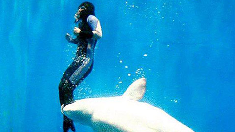  قصص رائعة لحيوانات مختلفة أنقذت البشر في مواقف خطيرة