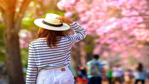 تعرفوا إلى أهم نصائح السفر في فصل الربيع