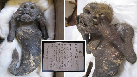 لغز حورية البحر ذات الـ300 عام بوجه بشري وذيل سمكة باليابان! صور