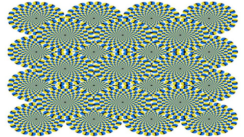 اختبر قوة تركيزك.. حدد عدد الدوائر الثابتة والمتحركة..!