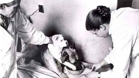 5 تجارب علمية غريبة أذهلت العالم