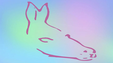 منطقي أم مبدع.. حدد شخصيتك عبر هذه الصورة!