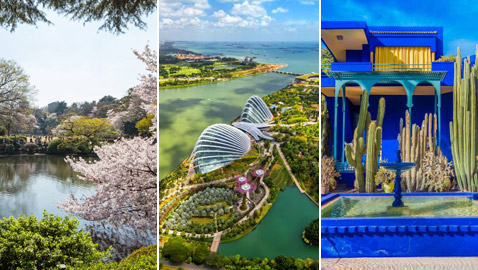 بالصور: جولات ربيعية في 3 حدائق سياحية مزهرة