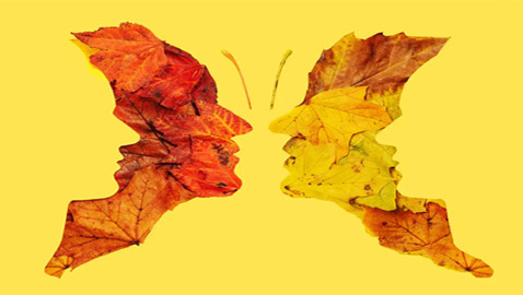 دقق جيدا.. ماذا ترى في هذه الصورة؟