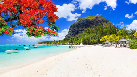 موريشيوس.. جزيرة الأحلام لشهر عسل لا يُنسى