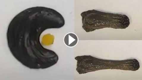 فيديو لا يصدق.. روبوت لزج بخصائص مميزة يدخل أجسادنا!