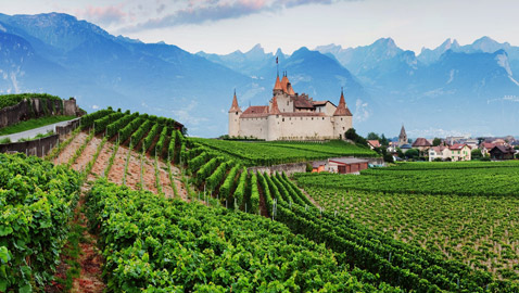 «كانتون دي فود» السويسرية.. إجازة الاحلام