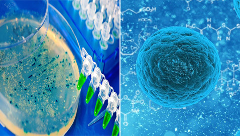 اكتشاف آلاف الفيروسات الجديدة بالمحيطات.. بعضها شبيه بكورونا!