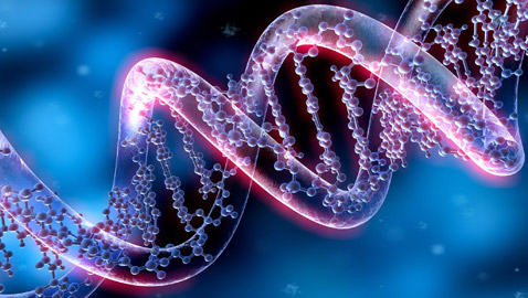 أسرار مذهلة: 10 اكتشافات جديدة عن ماضي البشرية من الحمض النووي