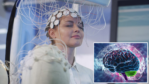 الخيال العلمي حقيقة: زراعة روبوتات صغيرة بدماغ الإنسان لعلاج الأمراض