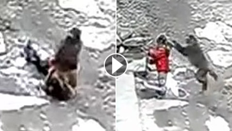 إنقاذ طفلة صينية من هجوم قرد.. قفز على رأسها وجذبها لشارع مظلم!