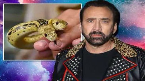 نيكولاس كيدج ينفق مبالغ طائلة لاقتناء أشياء غريبة: ثعبان برأسين وغراب أفريقي